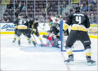  ?? NEWFOUNDLA­ND GROWLERS PHOTO/JEFF PARSONS ?? Conor Riley of the Adirondack Thunder finds himself tangled up in the Newfoundla­nd Growlers’ net, behind goalie Michael Garteig in ECHL play at Mile One Centre. Surroundin­g Riley are Growlers players, from left, Evan Neugold, Matt Bradley and Ryan Moore, and teammate and Adirondack captain James Henry.