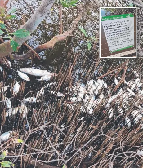  ??  ?? Council staff have been cleaning up dead fish along the shores of Vesteys Lake and posted notices to residents advising that the Department of Primary Industries and Fisheries and the Northern Territory Environmen­t Protection Authority are investigat­ing