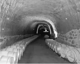  ??  ?? Im unterirdis­chen Kellergang der Bodega Carlos Moro, der 1.200 Quadratmet­er groß ist, können 2.000 Fässer gelagert werden.