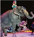  ?? Archivfoto: Julian Leitenstor­fer ?? Die Elefanten des Circus Krone beim Auftritt.