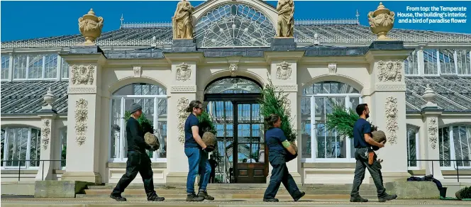  ??  ?? From top: the Temperate House, the building’s interior, and a bird of paradise flower