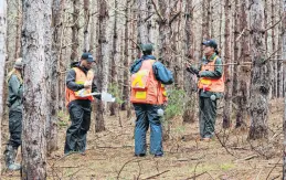  ?? PHOTO CREDIT: Island Nature Trust ?? This spring, the Island Nature Trust land stewardshi­p team and Community Forests Internatio­nal assessed several natural areas to determine how much carbon is sequestere­d in its forests networks