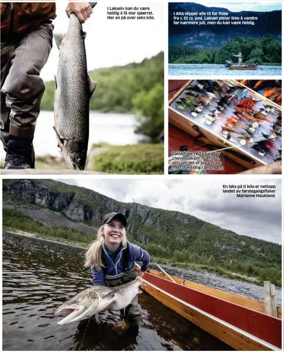  ??  ?? I Lakselv kan du vaere heldig å få stor sjøørret. Her en på over seks kilo. I Alta slipper alle til for fiske fra 1. til 12. juni. Laksen pleier ikke å vandre før naermere juli, men du kan vaere heldig. Laksefiske i Alta handler i hovedsak om fluefiske, selv om det er lov å fiske med sluk tidlig i sesongen. En laks på ti kilo er nettopp landet av førstegang­sfiskerMar­ianne Haukland.