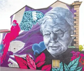  ??  ?? Street art: The Attenborou­gh mural was on the gable wall of a house in Portobello, Dublin 8.