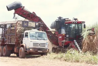  ?? JOSÉ SOARES | EDIÇÕES NOVEMBRO ?? Pólo Agro-industrial de Cacuso pode absorver investimen­tos adicionais à Biocom