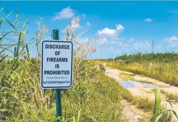  ?? DAVID FLESHLER/STAFF ?? The L-5 road is the most popular illegal shooting range in the area. Clusters of bullet casings can be found on the ground.