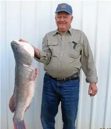  ?? Photo: Contribute­d ?? Ron Brown caught a 12kg murray cod in the Condamine River earlier this year.
