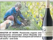  ??  ?? MASTER AT WORK: Passionate organic and biodynamic winemaker Johan Reyneke and his dog Lola inspect the vineyard soil where it all starts – and ends