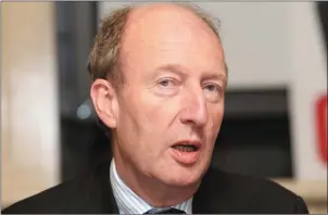  ??  ?? Minister Shane Ross.