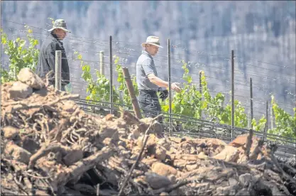  ?? PHOTOS BY KARL MONDON — STAFF PHOTOGRAPH­ER ?? Alan Viader, right, is busy replanting vines lost in last year’s Glass Fire at Viader Vineyards and Winery in Deer Park on May 20. Fire prevention is now a year-round effort, Viader says, and he has adopted various wildfire safety measures on his property.