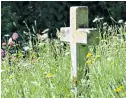  ??  ?? Long grass and wild flowers are increasing­ly seen in country churchyard­s