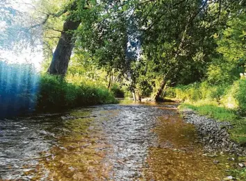  ?? Fotos: Gerald Modlinger ?? Die Windach ist ein kleiner Fluss, der westlich des Ammersees fließt. Bevor der Windachspe­icher gebaut wurde, war er wegen sei‰ nes Hochwasser­risikos gefürchtet.