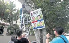  ?? REUTERS ?? Workers hang an electoral poster on a tree in a residentia­l neighbourh­ood in Singapore on Tuesday ahead of the general election on July 10.