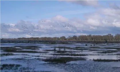  ?? Photograph: WGCMA ?? Ramsar-listed wetlands have been declared internatio­nally important under a 1971 treaty that asks members to maintain the ecological­character of their listed wetlands.