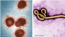  ??  ?? More than 11,000 people died in the West African ebola epidemic of 2014-2016