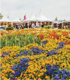  ?? Foto: Fabian Gebert ?? Es sind beeindruck­ende Blumeninst­allationen, die zwischen den über 200 Aussteller­n ein einzigarti­ges Blütenmeer schaffen.