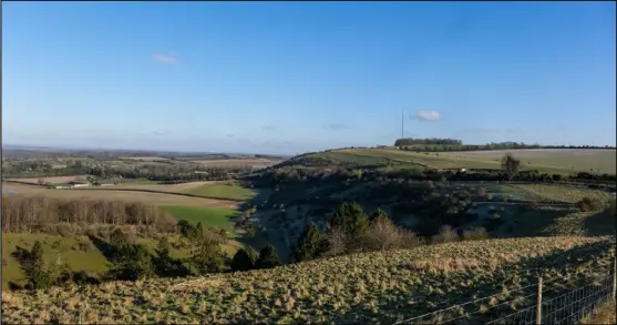  ?? ?? This lovely photograph of Whitehill, near Kingsclere, was taken by our photograph­er Phil Cannings