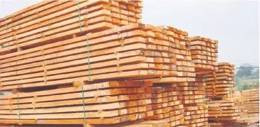  ??  ?? Global Timber Market Outlook and Export Opportunit­ies for Malaysian Timber Products and Furniture’, the seminar aims to expose industry members to the latest market data and insights to help them capitalise on the global opportunit­ies available to the...