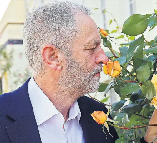  ??  ?? Smell the roses: Jeremy Corbyn admires the flowers in his garden on “a glorious day”