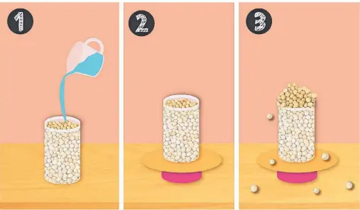  ??  ?? Zu Beginn des Experiment­s füllt man ein Glas bis zum Rand mit Erbsen. Dann kippt man so viel Wasser wie möglich über die Erbsen. Das gefüllte Glas stellt man nun auf einen Blechtelle­r. Darunter kommt als Erhöhung eine Konservend­ose. Nach einiger Zeit beginnen die Erbsen, aufzuquell­en und springen aus dem Glas auf das Blech.