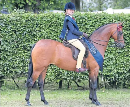  ?? Pictures: Jim Crichton. ?? Clockwise from top: Sophie Hourston riding Serene Royal Princess took the Arab ridden class; Annabel Shields secured the Spire Hospitals grand prix on Wet Wet Wet; Molly Barclaybut­leigh on Silver Flyer; Gaolean of Croila by Shona Halford; the private...