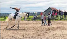  ?? FOTO: YVONNE GIWITSCH ?? Die Voltigiere­r haben für ihre Darbietung­en beim Frühlingsf­est des Pferdespor­tvereins Aulendorf viel Beifall erhalten.