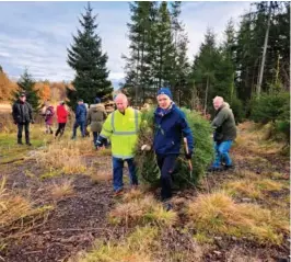  ?? FOTO: BAARD LARSEN ?? FELLING: Årets juletre ble hogd av Håvard Røiseland, som leder av kulturutva­lget i Grimstad.