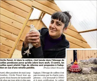  ?? (Photos Gilbert Rinaudo) ?? Cécile Penot, ici dans la volière, s’est lancée dans l’élevage de cailles pondeuses parce qu’elle adore leurs oeufs. Ci-contre, les cailles ayant atteint l’âge de réforme sont proposées à l’adoption en vue d’une retraite paisible.