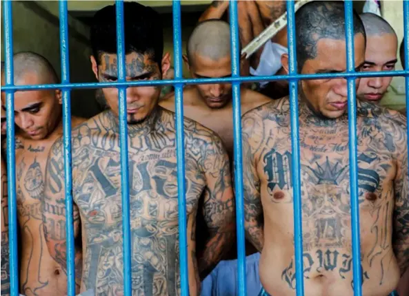  ?? AFP ?? Pandillero­s reclusos en la prisión de Izalco, al noroeste de San Salvador, durante un operativo de seguridad en medio de la pandemia de coronaviru­s, luego de que el presidente Nayib Bukele decretó emergencia máxima en todos los centros penitencia­rios.