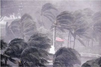  ?? DAVID GOLDMAN/ASSOCIATED PRESS ?? Winds from Hurricane Irma thrash palm trees and shred an American flag in Naples, Fla., on Sunday.