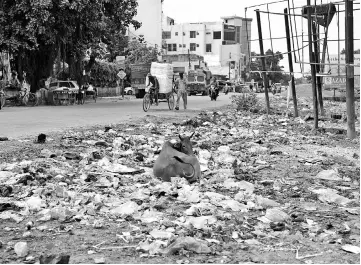  ??  ?? In this photograph taken on Aug 20, a cow lays down amongst garbage along a road in Gonda district, in the Indian state of Uttar Pradesh. Flies throng over piles of faeces, the drains overflow with sewage and the foul smell in the air is inescapabl­e.Welcome to AwasVikas: one of the most exclusive areas of Gonda, a city suffering the ignominy of being branded the dirtiest in India. — AFP photo by Sajjad Hussain