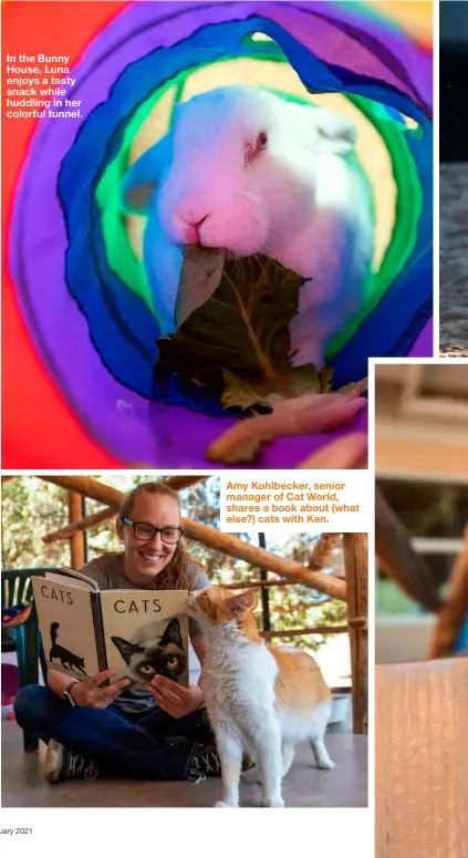  ??  ?? In the Bunny House, Luna enjoys a tasty snack while huddling in her colorful tunnel. Amy Kohlbecker, senior manager of Cat World, shares a book about (what else?) cats with Ken.