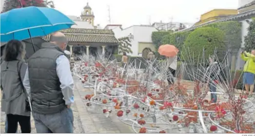  ?? JUAN AYALA ?? Detalle de la instalació­n floral del Festival Flora 2018 ubicada en el Patio de las Columnas de Viana.