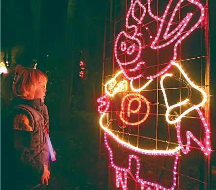  ??  ?? The Fantasy in Lights display returns to Feilding this month, but with a new host.