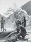  ??  ?? Villagers install plastic mulch for spring crop production in Manling county, Tibet autonomous region, on Wednesday.