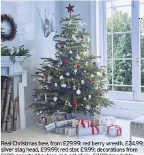  ??  ?? Real Christmas tree, from £29.99; red berry wreath, £24.99; silver stag head, £99.99; red star, £9.99; decoration­s from £1.99; assorted baubles, red, set of six, £2.99; tree lights, various sizes, from £12.99, available in store, Dobbies