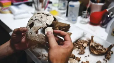 ?? (AFP) ?? This photo shows a conservato­r working on a human skull in a lab at the American School of Archeology, in Athens on July 7