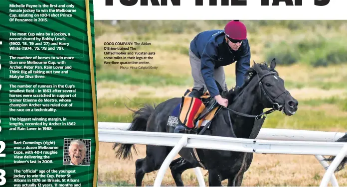  ?? Photo: Vince Caligiuri/Getty ?? GOOD COMPANY: The Aidan O’Brien-trained The Cliffsofmo­her and Yucatan gets some miles in their legs at the Werribee quarantine centre.