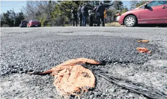  ?? KEITH GOSSE • THE TELEGRAM ?? A pothole, filled with sand bags with a layer of asphalt over them, served as a backdrop to a Progressiv­e Conservati­ve media availabili­ty on Bennett’s Road in St. Philip’s Tuesday morning. Interim PC leader David Brazil said the government has to have a better prioritizi­ng system for road repairs and upgrades.