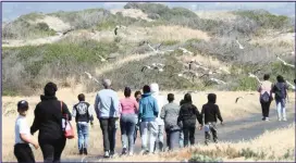  ??  ?? False Bay Nature Reserve will host its annual Fun Walk and Birdathon Festival next week. Picture: Supplied