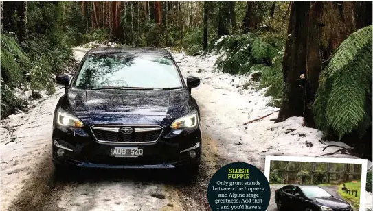  ??  ?? SLUSH PUPPIE Only grunt stands between the Impreza and Alpine stage greatness. Add that ... and you’d have a fifth-gen WRX