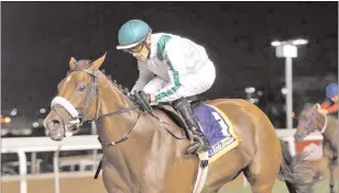  ?? PICTURE: NKOSI HLOPHE ?? The Frank Robinson-trained Dynasty filly OLMA impressed on Friday night when slamming the opposition in the Gr 3 Flamboyant Stakes over 1 600m under a polished ride by Ian Sturgeon and she will be a horse to be reckoned with in the Champions Season.