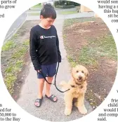  ?? PHOTO / SUPPLIED ?? Eleven-year-old William Hooper pictured with his therapy dog, Tully.