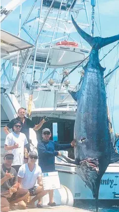  ??  ?? CATCH OF A LIFETIME: US big game fisherman Ross Kodner caught a 518kg (1144lb) marlin off Ribbon Reef near Cooktown on Cairns-based charter boat Bounty Hunter.