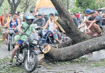  ?? EPA ?? Motorcycle riders manoeuvre next to a toppled tree in the typhoon-hit town of Milaor, Camarines Sur, yesterday.