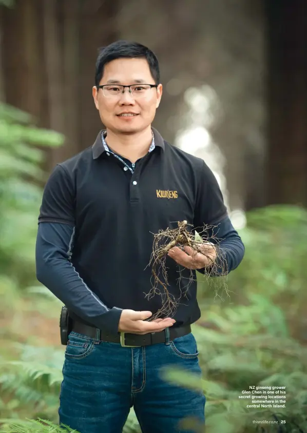  ??  ?? NZ ginseng grower Glen Chen in one of his secret growing locations somewhere in the central North Island.