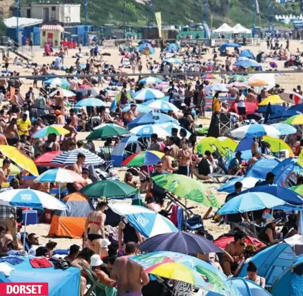  ?? ?? DORSET
Packing the beach: Thousands of sunseekers – with bikinis, towels and parasols – flocked to the seafront in Bournemout­h yesterday where the sea breeze offered some respite from sweltering temperatur­es inland