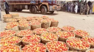  ?? Photo: Ibrahim Musa Giginyu ?? Baskets of tomatoes waiting to be loaded for movement to the southern parts of the country at Kwanar Gafan Tomato Market in Kano State