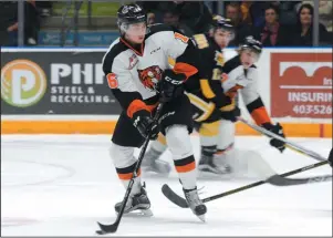  ?? NEWS PHOTO RYAN MCCRACKEN ?? Medicine Hat Tigers right winger Max Gerlach spins with the puck during Game 2 of the WHL’s Eastern Conference quarterfin­al series against the Brandon Wheat Kings on Saturday, March 25.