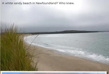  ??  ?? A white sandy beach in Newfoundla­nd? Who knew.